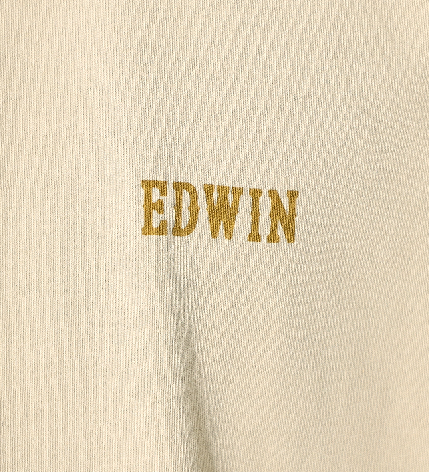 EDWIN(エドウイン)の【SALE】バックプリント FUJIYAMA Tシャツ 長袖|トップス/Tシャツ/カットソー/メンズ|ベージュ