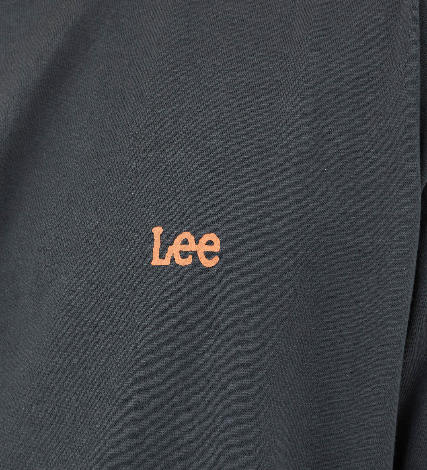 Lee(リー)の【SUMMER SALE】バックプリントTシャツ|トップス/Tシャツ/カットソー/メンズ|チャコールグレー