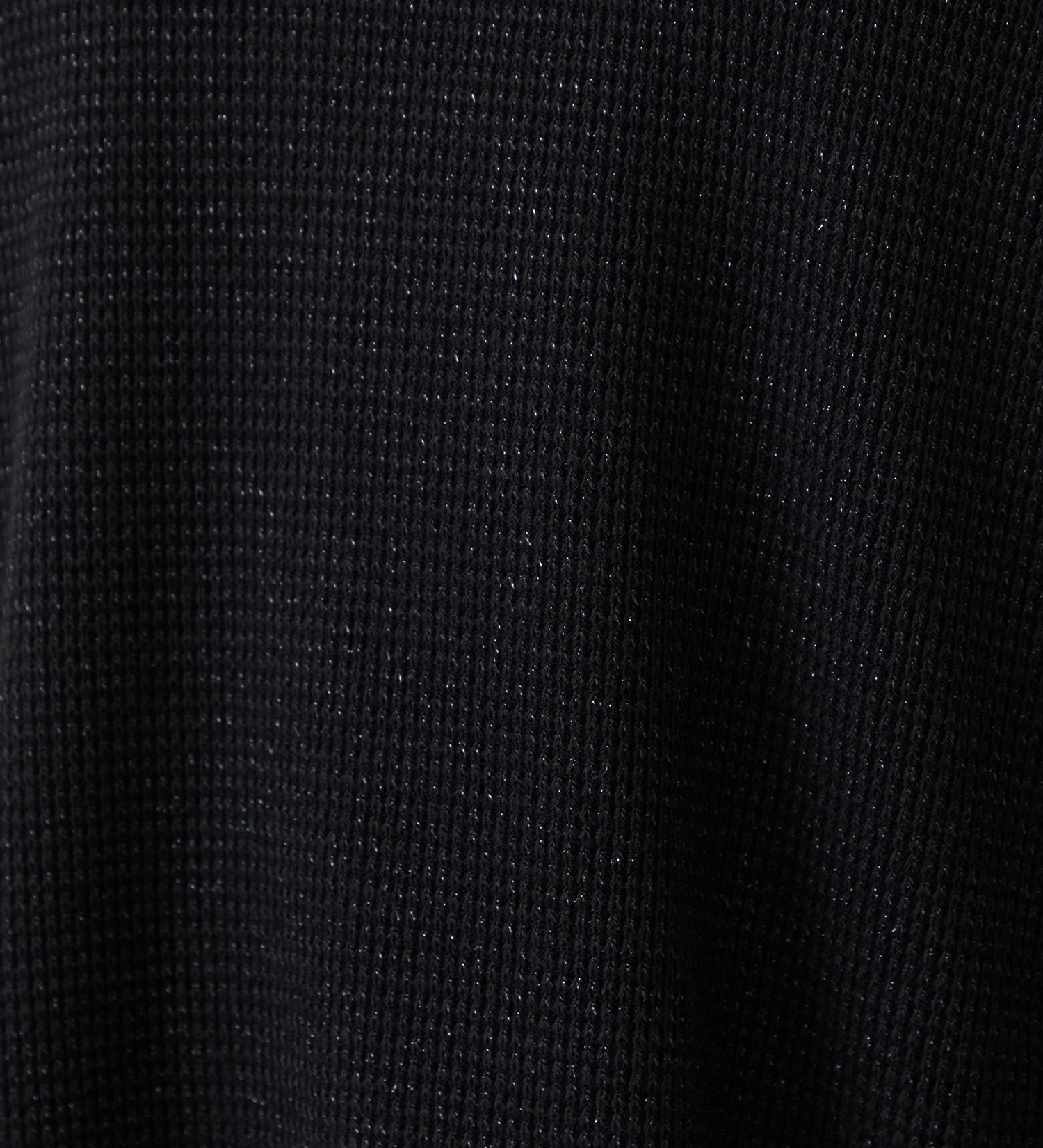 EDWIN(エドウイン)のグリッターワッフルハイネックプルオーバー【アウトレット店舗・WEB限定】|トップス/Tシャツ/カットソー/レディース|ブラック