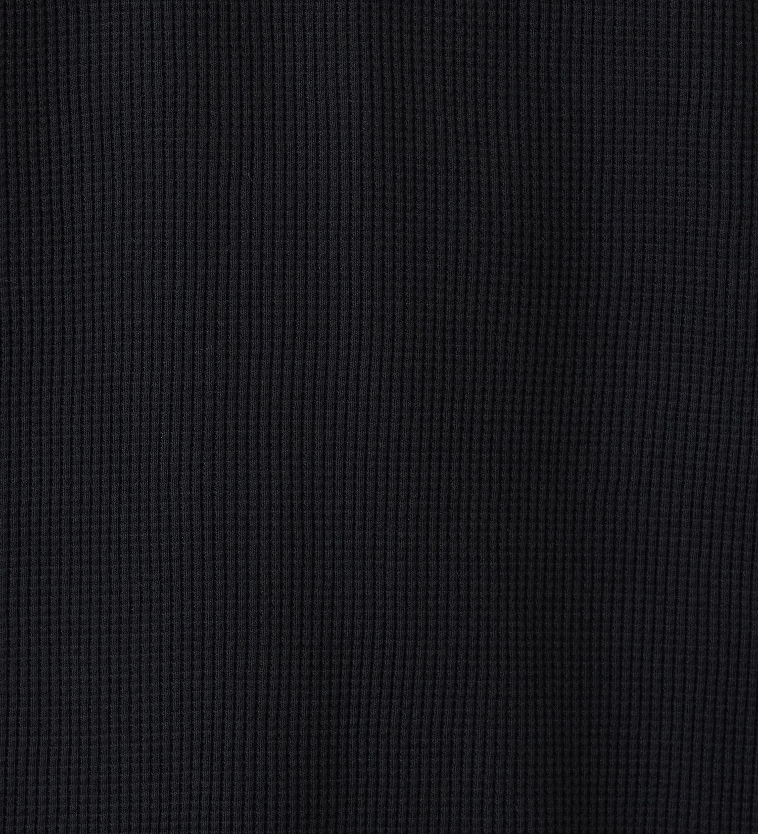 EDWIN(エドウイン)のワッフル長袖 Tシャツ【アウトレット店舗・WEB限定】|トップス/Tシャツ/カットソー/メンズ|ブラック