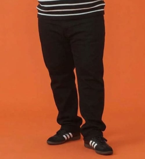 EDWIN(エドウイン)の【試着対象】【大きいサイズ】WILDFIRE ジャージーズレギュラーストレートデニムパンツ【暖/冬用】|パンツ/パンツ/メンズ|ブラック