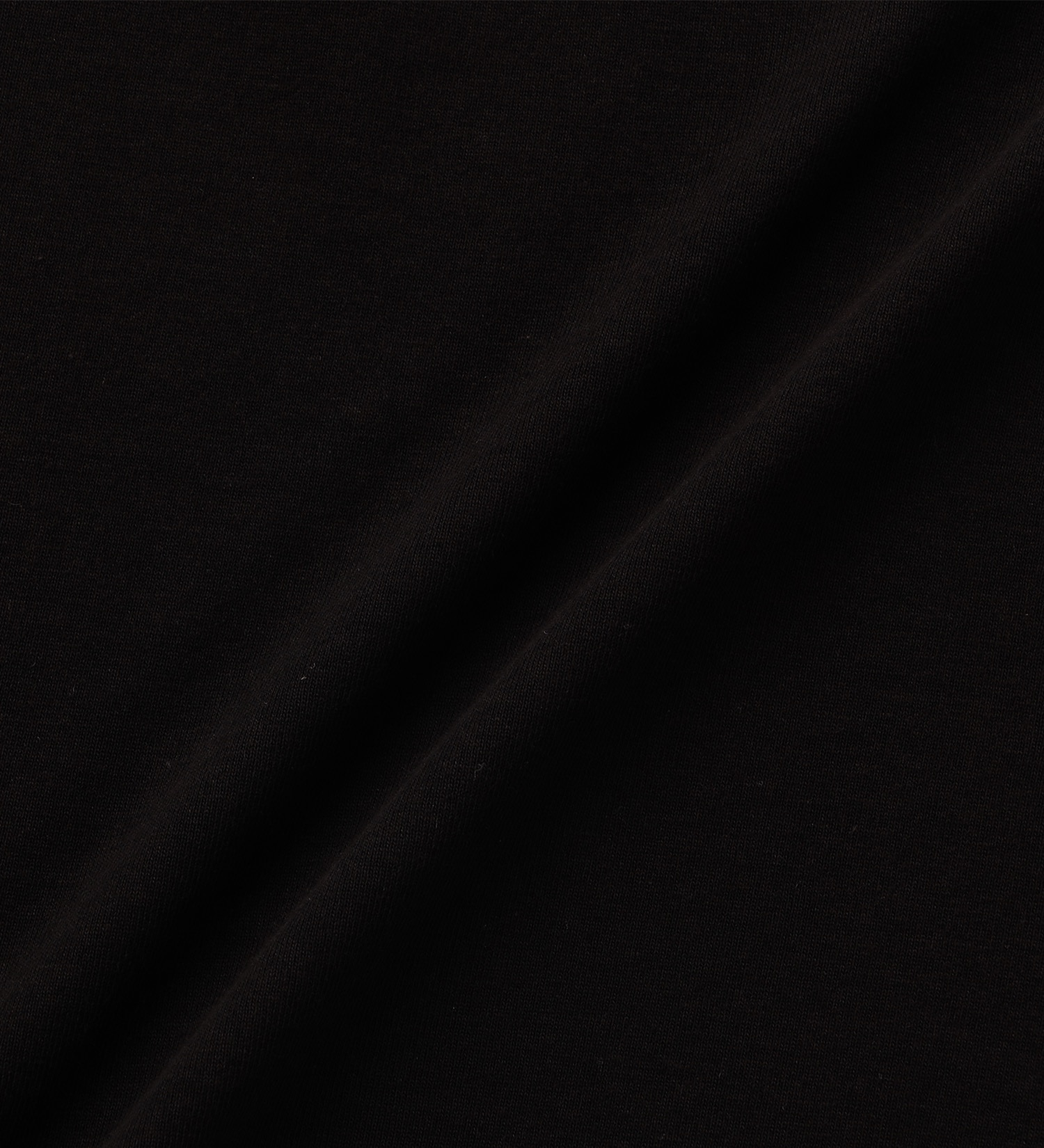 Lee(リー)の【GW SALE】【Lee GOLF】バックプリント半袖Tシャツ|トップス/Tシャツ/カットソー/メンズ|ブラック系その他