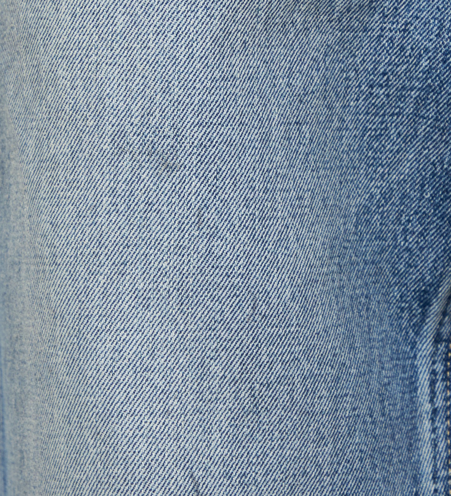 Lee(リー)の【予約】【101 101周年記念特別モデル】HIGH-RISE RELAXED STRAIGHT デニムパンツ|パンツ/デニム/ジーンズパンツ/レディース|中色ブルー