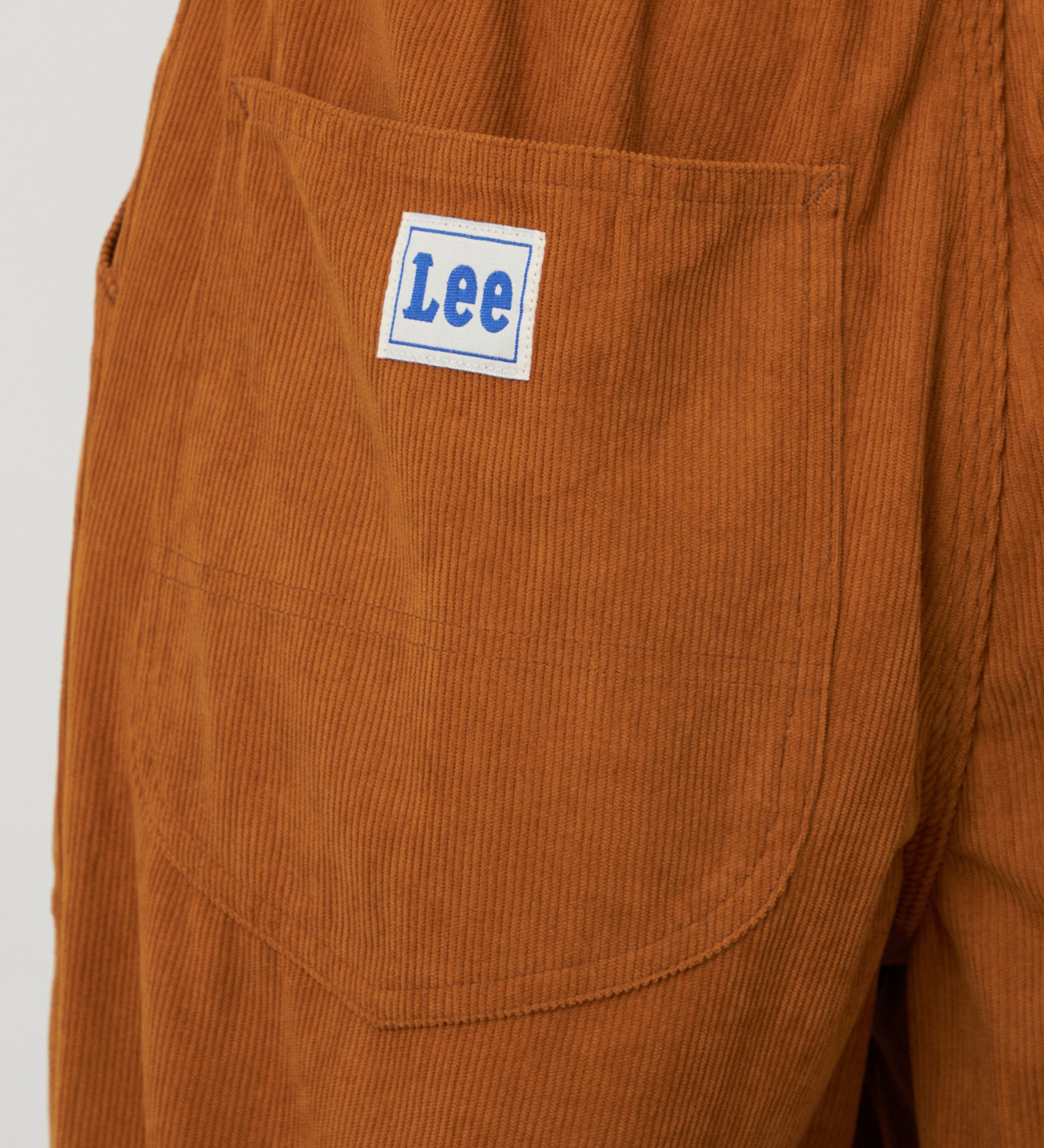 Lee(リー)のリラックス イージーペインターパンツ|パンツ/パンツ/レディース|キャメル