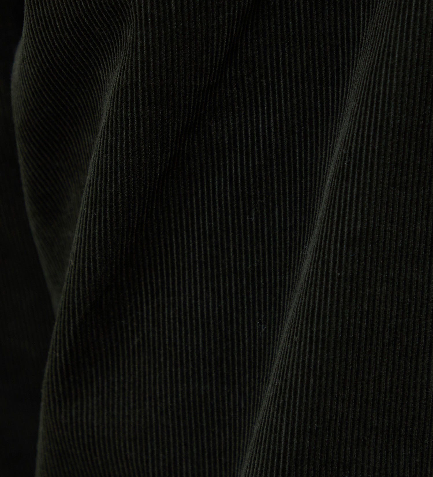 Lee(リー)の【試着対象】【暖】FLeeasy CORDUROY すっきりナロー/イージーパンツ|パンツ/パンツ/メンズ|ダークグリーン