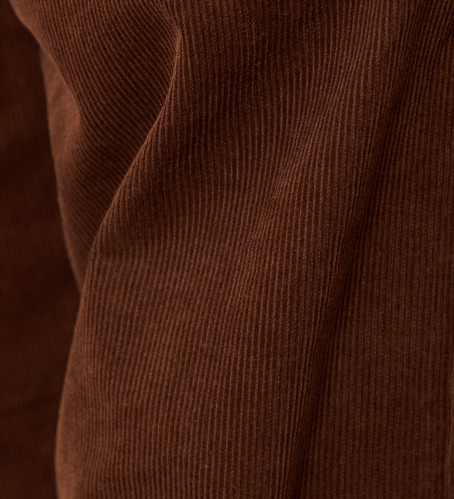 Lee(リー)の【試着対象】【暖】FLeeasy CORDUROY すっきりナロー/イージーパンツ|パンツ/パンツ/メンズ|ブラウン