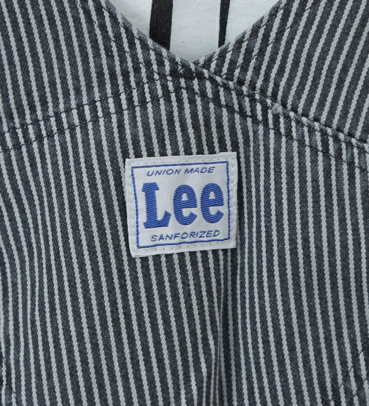Lee(リー)の【2024年春夏カラー】DUNGAREES オーバーオール ユニセックス|オールインワン/サロペット/オーバーオール/メンズ|ヒッコリー2