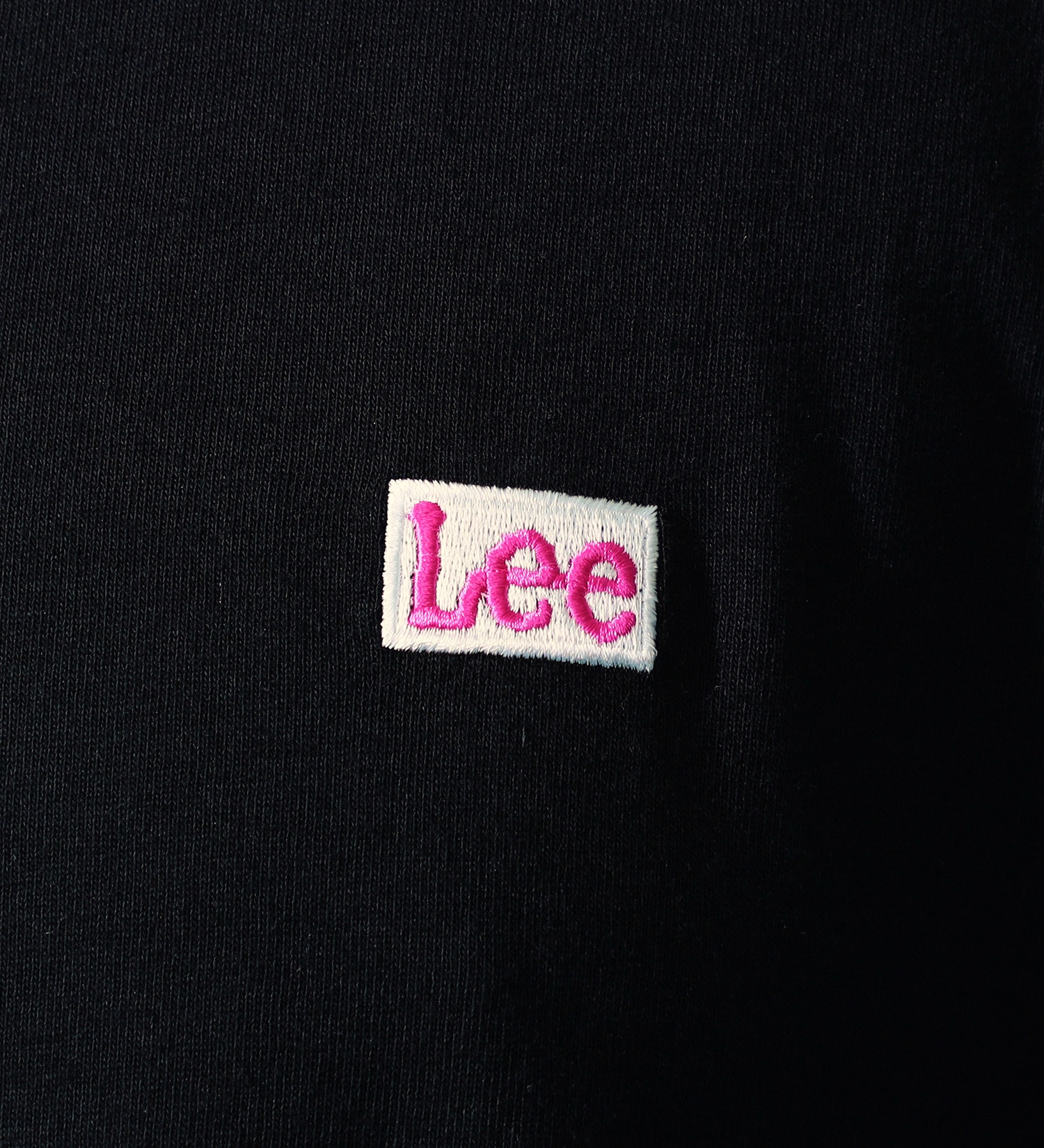 Lee(リー)の【大きいサイズ】Lee バックプリント ショートスリーブTee|トップス/Tシャツ/カットソー/メンズ|ブラック