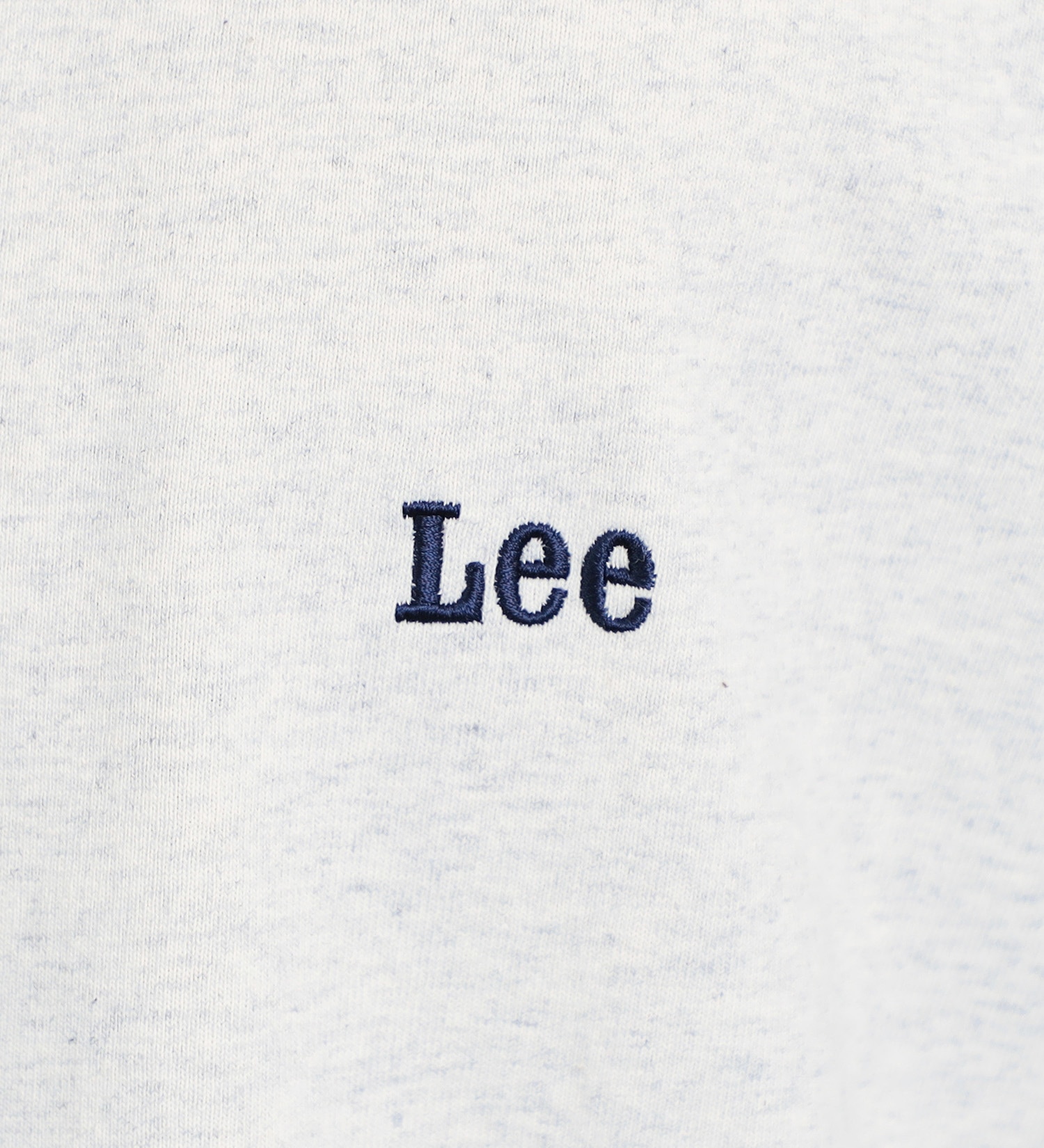 Lee(リー)のバックプリント オールドアド ネオン ショートスリーブTee|トップス/Tシャツ/カットソー/メンズ|グレー2