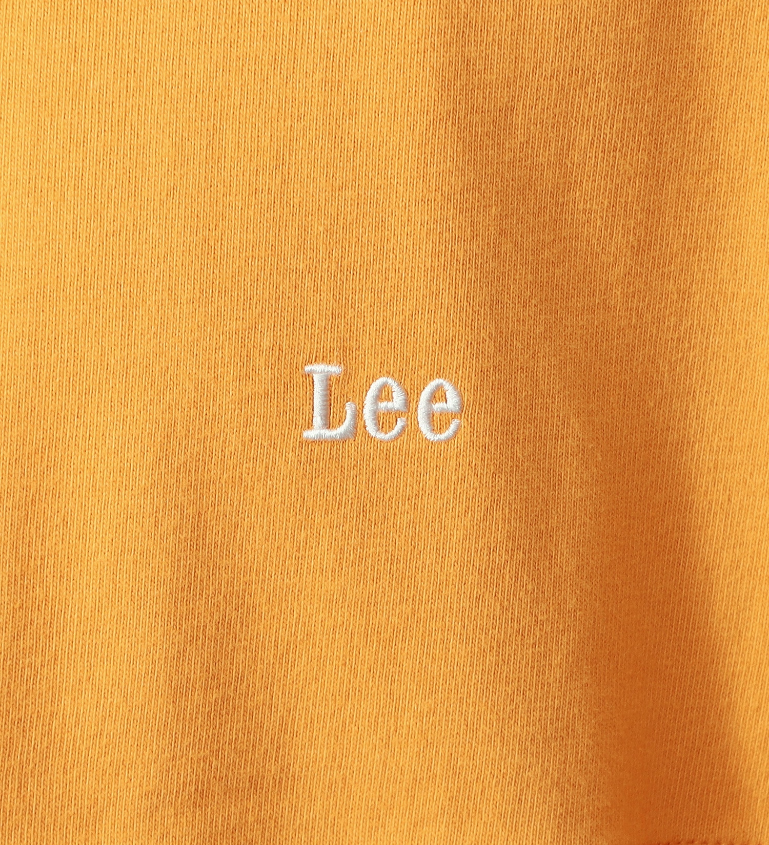 Lee(リー)の【GW SALE】バックアーチ ショートスリーブTee|トップス/Tシャツ/カットソー/メンズ|オレンジ
