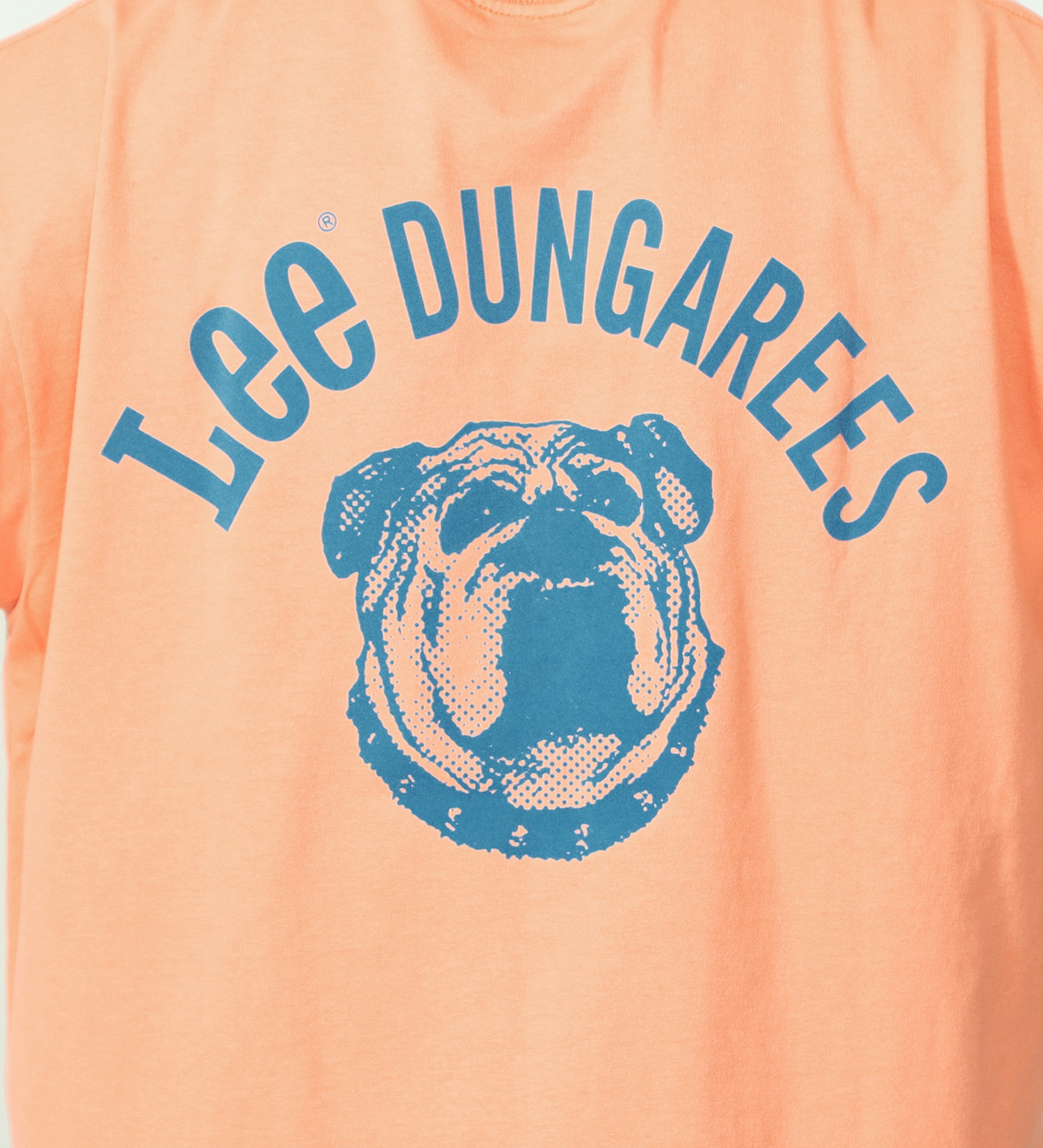 Lee(リー)のブルドッグ フロッキープリント ショートスリーブTee|トップス/Tシャツ/カットソー/メンズ|オレンジ