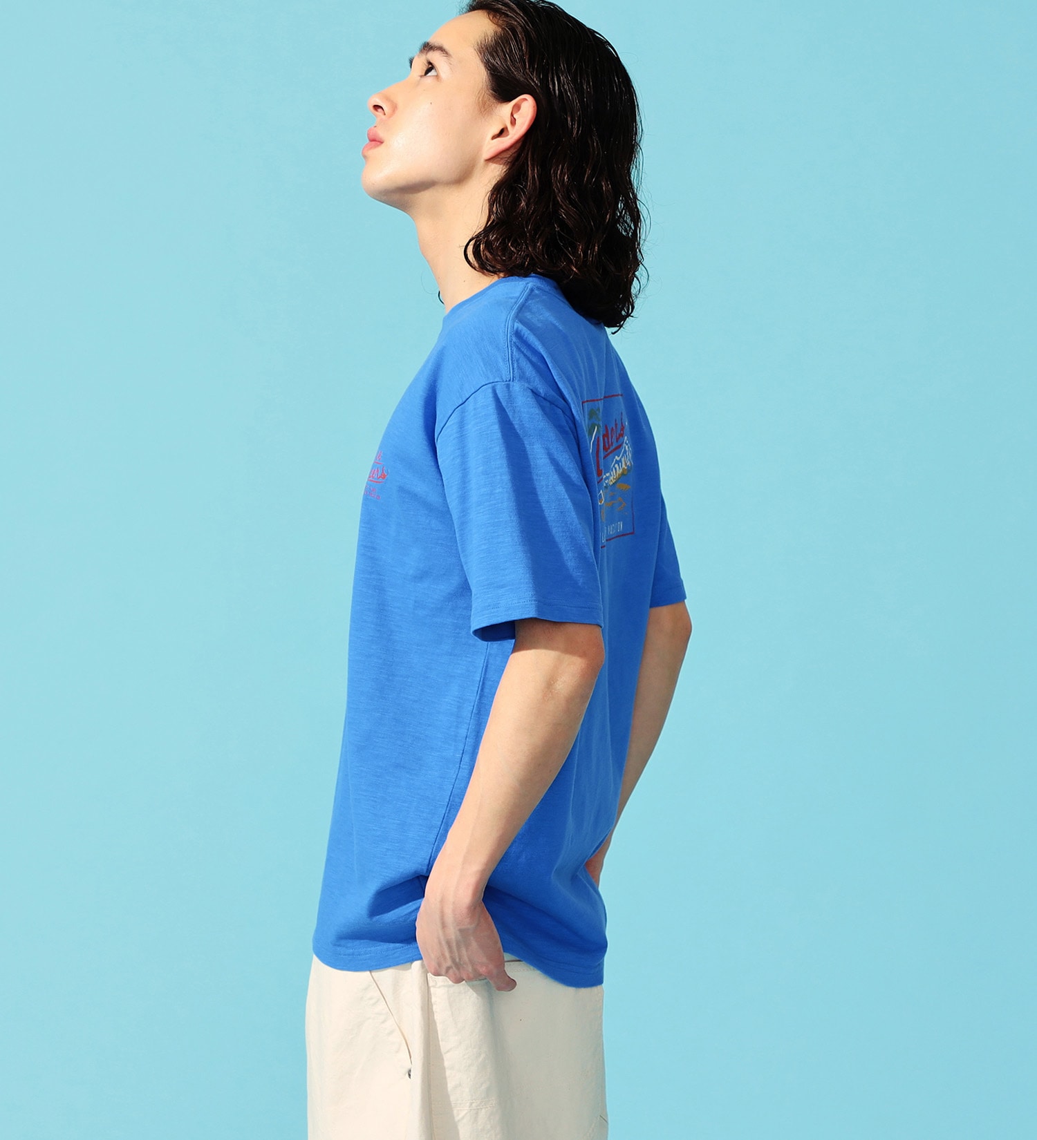 Lee(リー)のアロハ バックプリント ショートスリーブTee|トップス/Tシャツ/カットソー/メンズ|ブルー