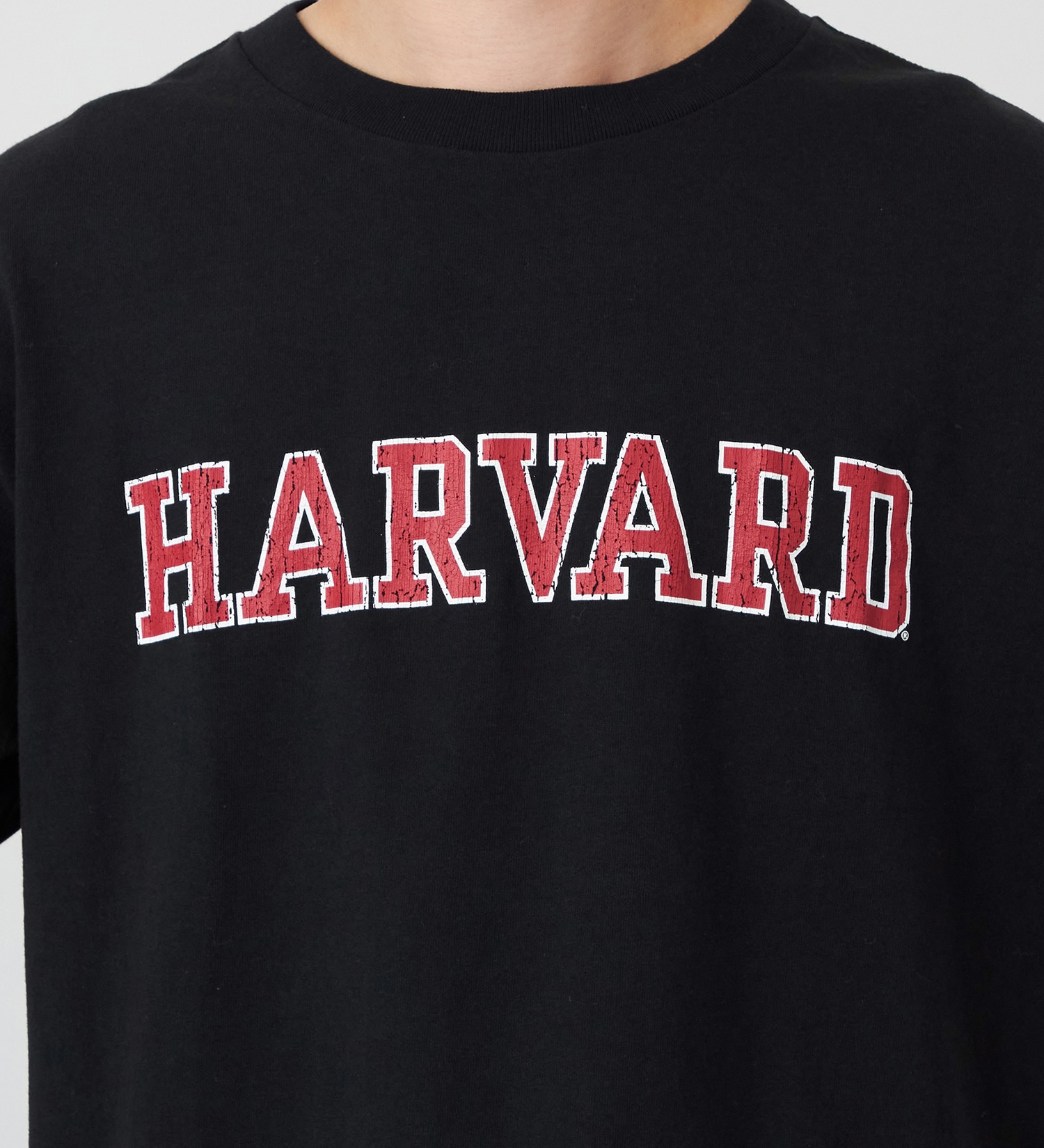 Lee(リー)のIVY COLLEGE SHORT SLEEVE Tee/半袖Tシャツ|トップス/Tシャツ/カットソー/メンズ|ブラック