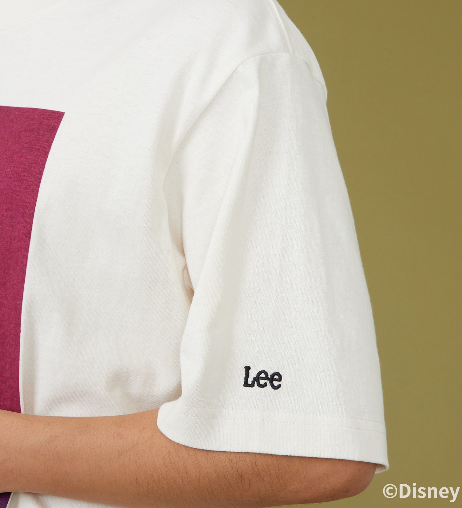 Lee(リー)のH/S PRINT TEE / 半袖Tシャツ【101匹わんちゃん】|トップス/Tシャツ/カットソー/メンズ|ホワイト2