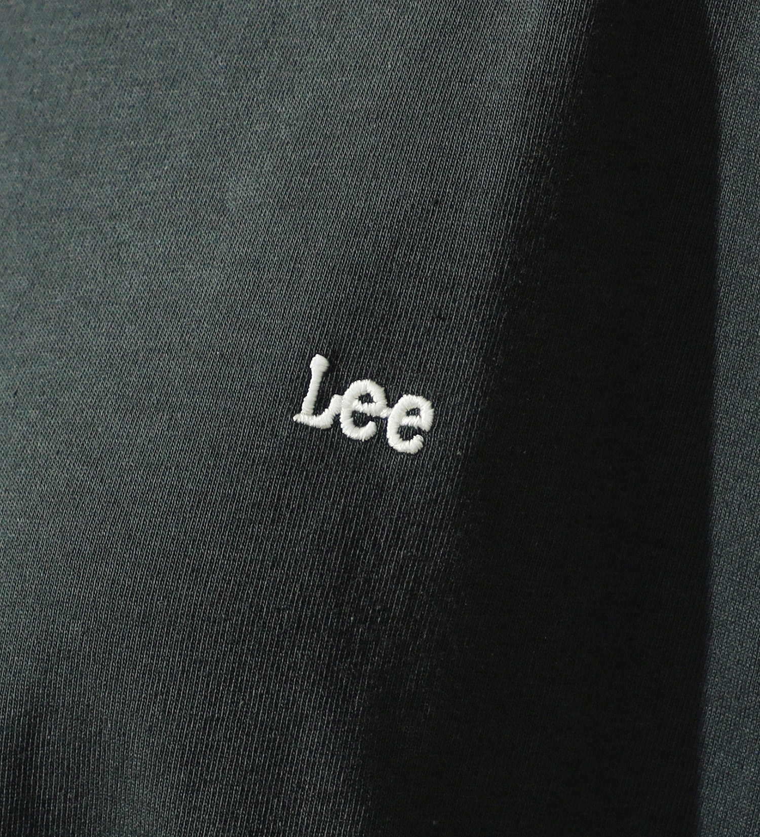 Lee(リー)の【ポイントアップ対象】ラウンドヘム バックプリント ハーフスリーブTee|トップス/Tシャツ/カットソー/レディース|チャコール
