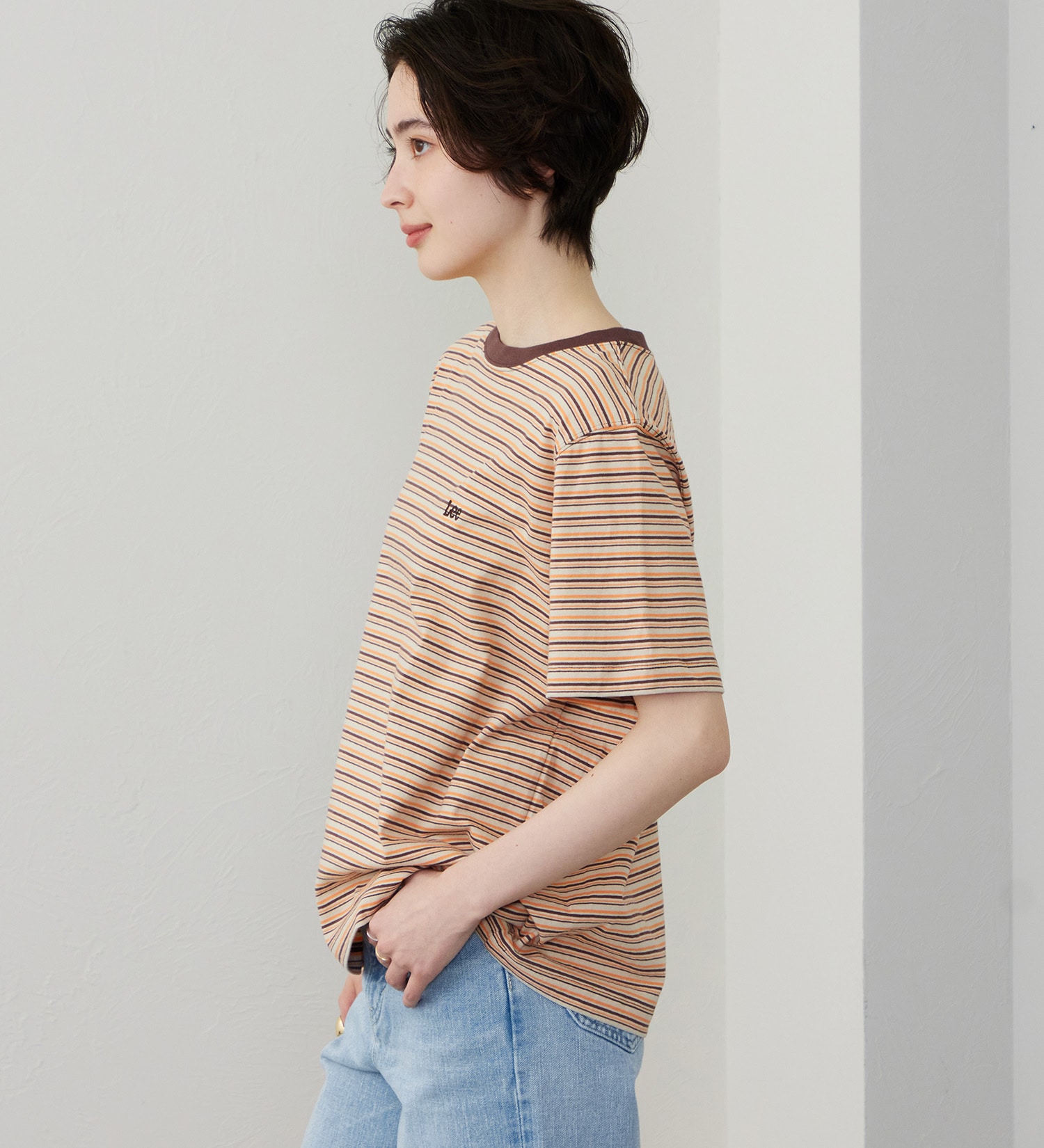 Lee(リー)のマルチボーダーTシャツ|トップス/Tシャツ/カットソー/レディース|ブラウン