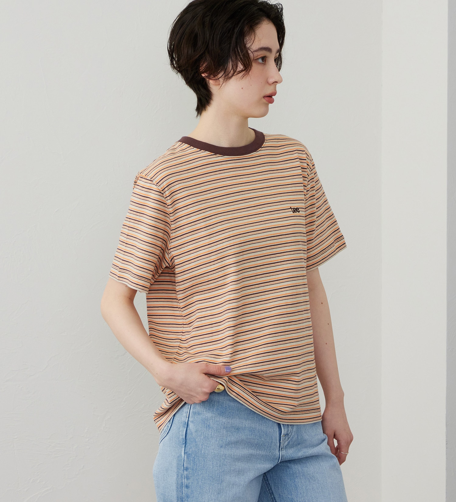 Lee(リー)のマルチボーダーTシャツ|トップス/Tシャツ/カットソー/レディース|ブラウン