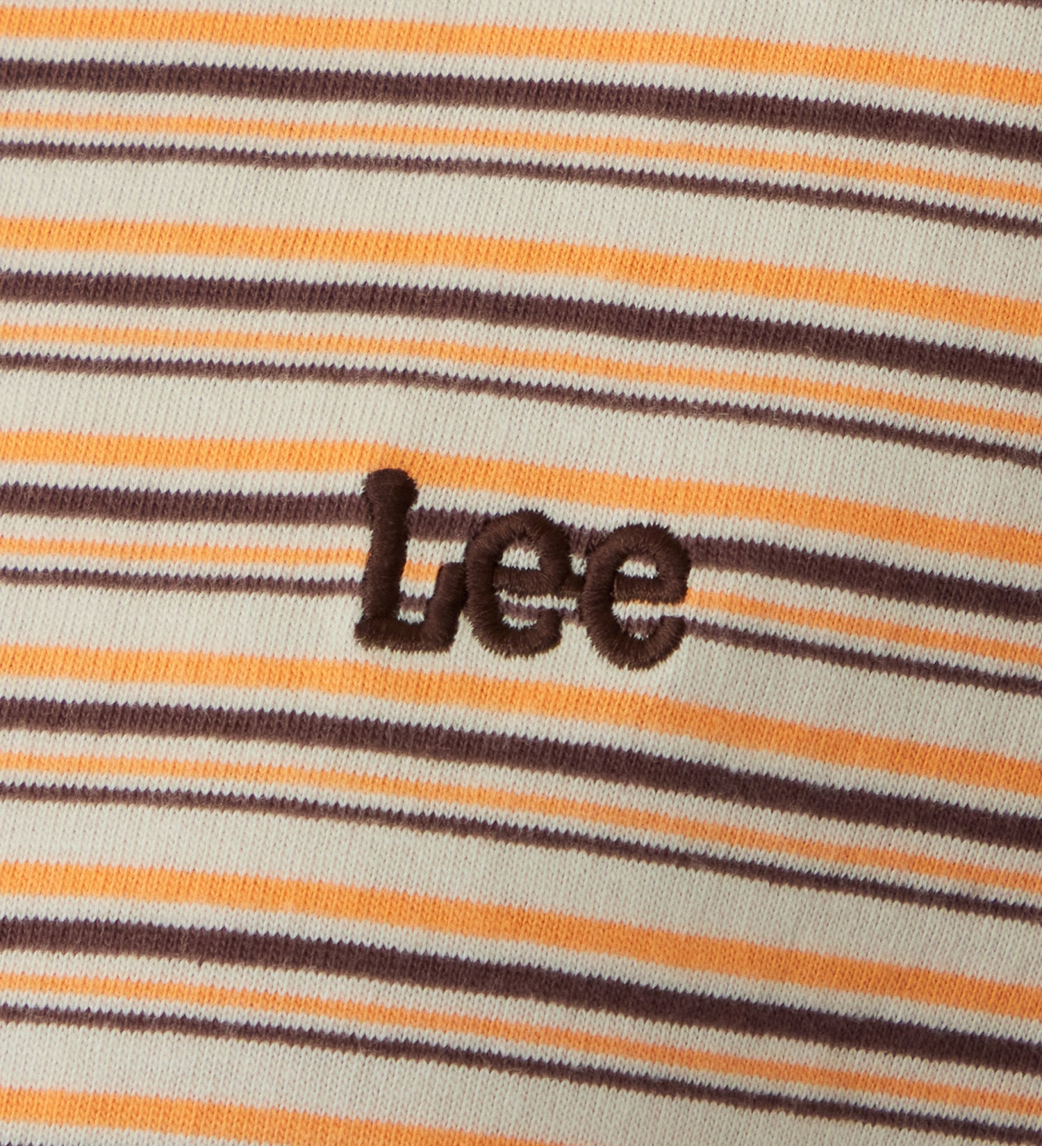 Lee(リー)のマルチボーダーTシャツ|トップス/Tシャツ/カットソー/レディース|ブラウン