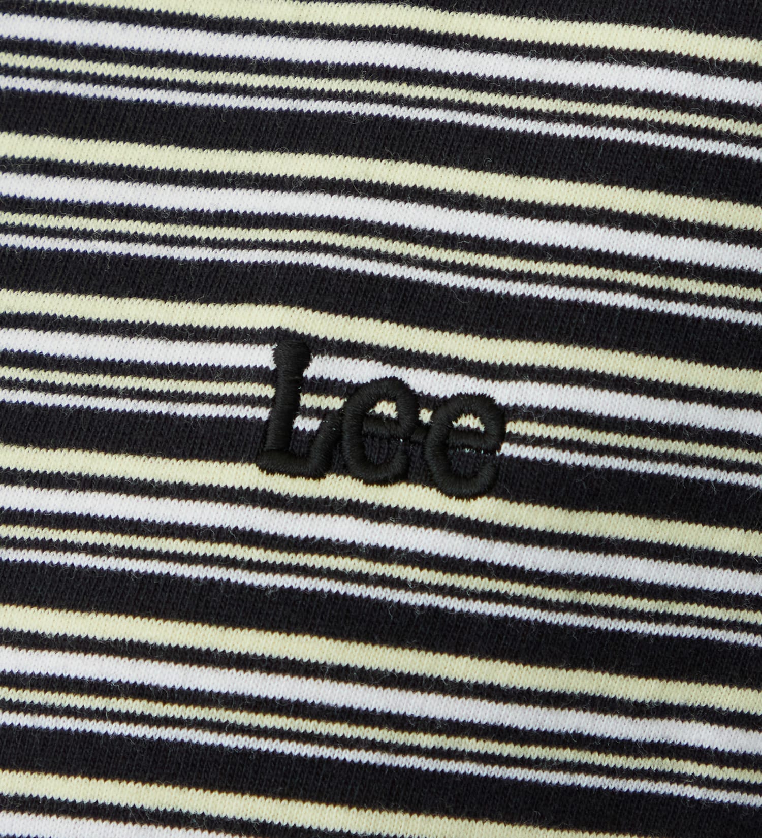 Lee(リー)のマルチボーダーTシャツ|トップス/Tシャツ/カットソー/レディース|チャコール