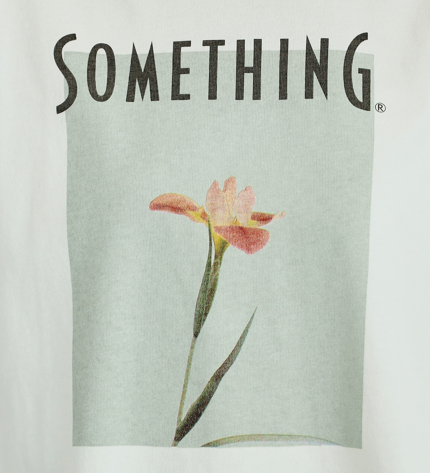 SOMETHING(サムシング)のSOMETHING ラウンドヘムロングスリーブTシャツ|トップス/Tシャツ/カットソー/レディース|ホワイト