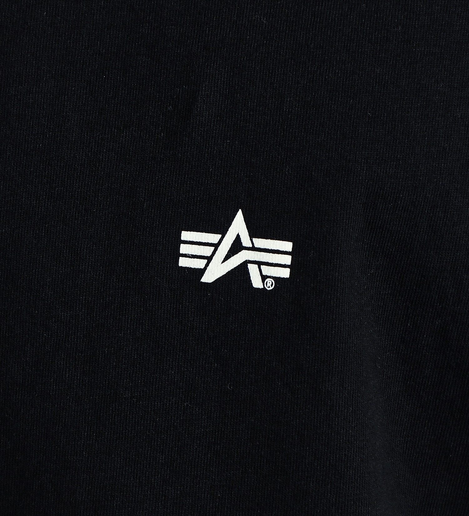 ALPHA(アルファ)の【おまとめ割対象】バックプリントBOXロゴTシャツ 半袖|トップス/Tシャツ/カットソー/メンズ|ブラックxブルー