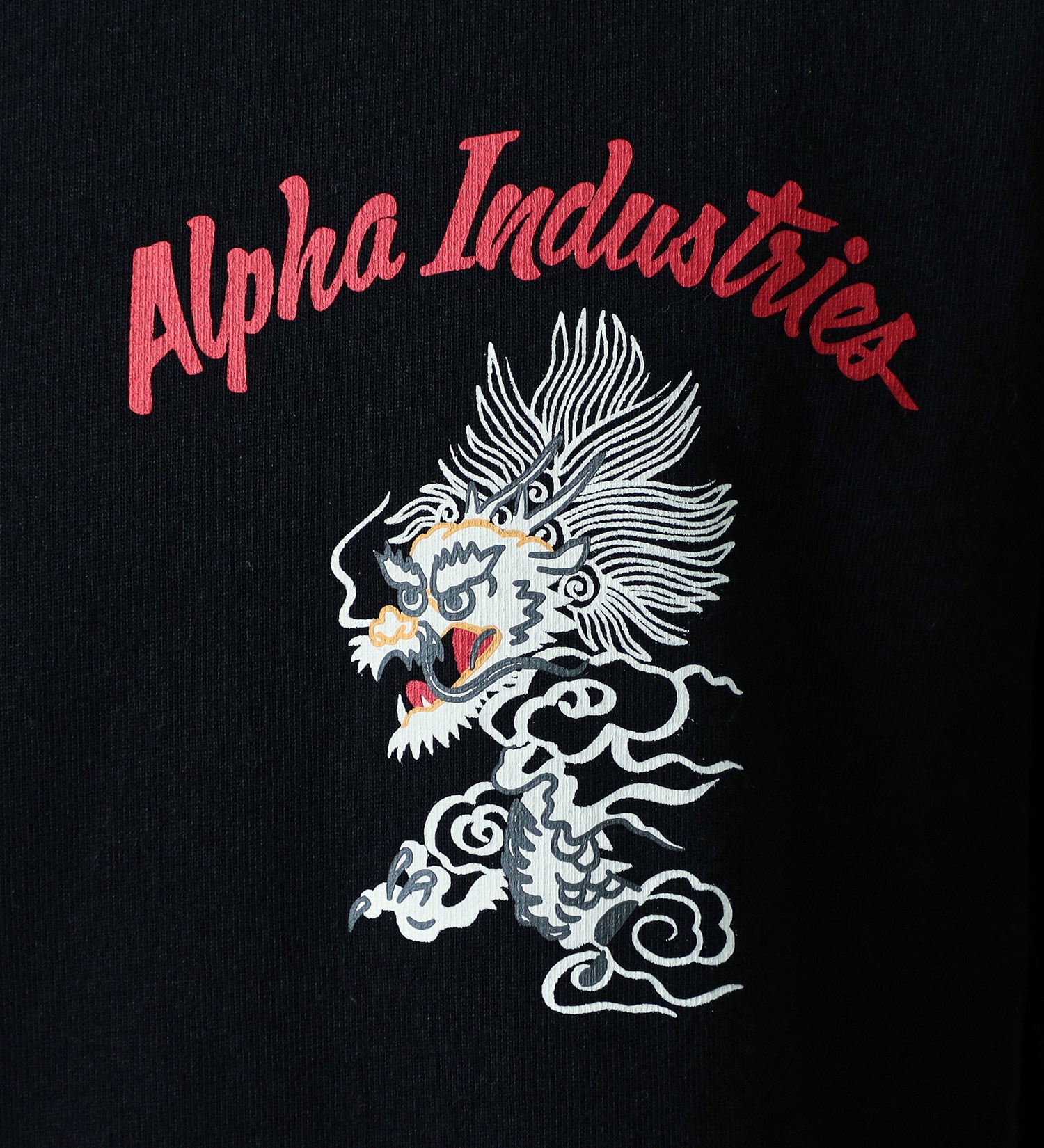 ALPHA(アルファ)の【おまとめ割対象】スーベニアバックプリントTシャツ 半袖|トップス/Tシャツ/カットソー/メンズ|ブラック