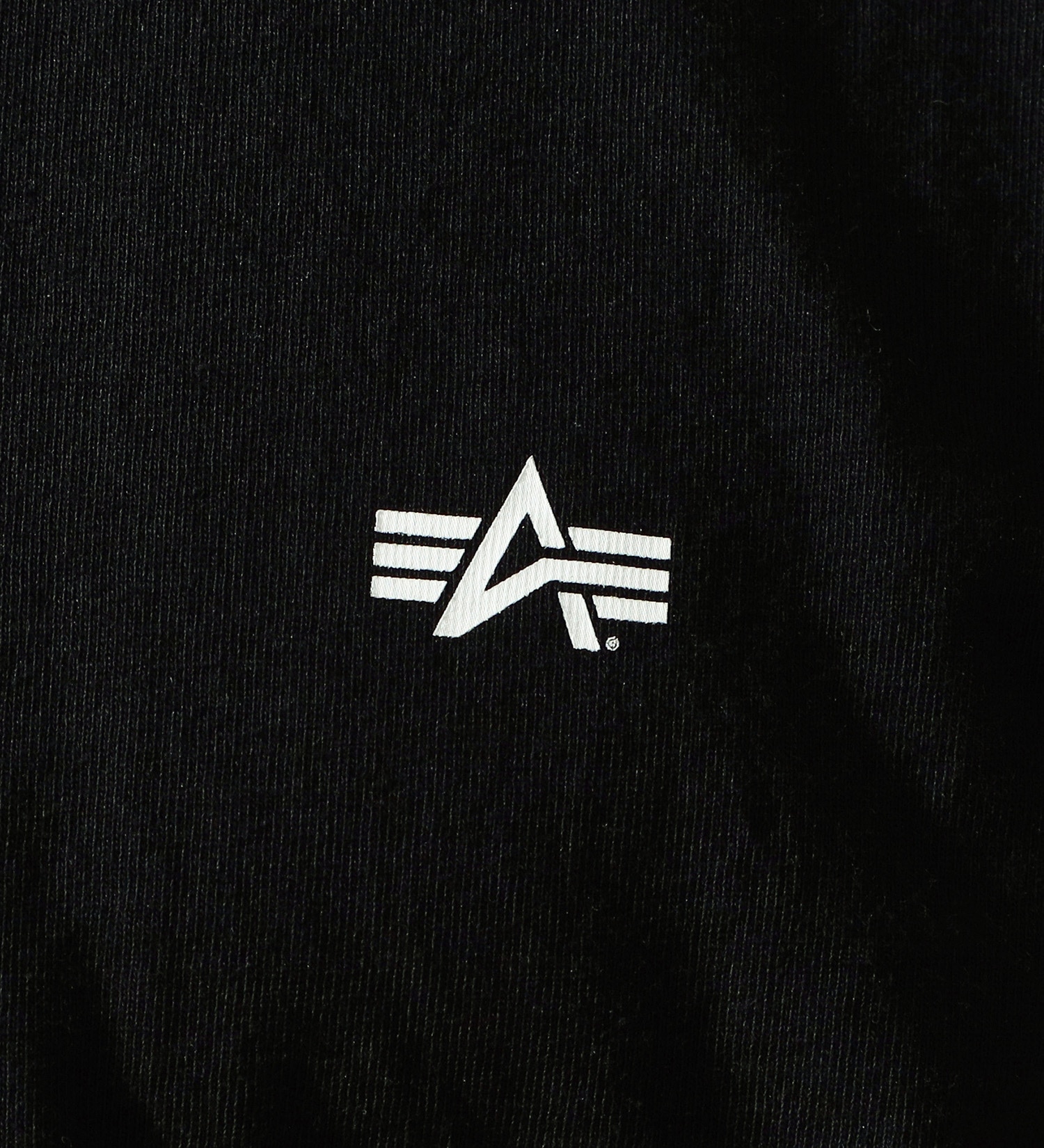 ALPHA(アルファ)のバックプリントBOXロゴTシャツ 半袖|トップス/Tシャツ/カットソー/メンズ|ブラック