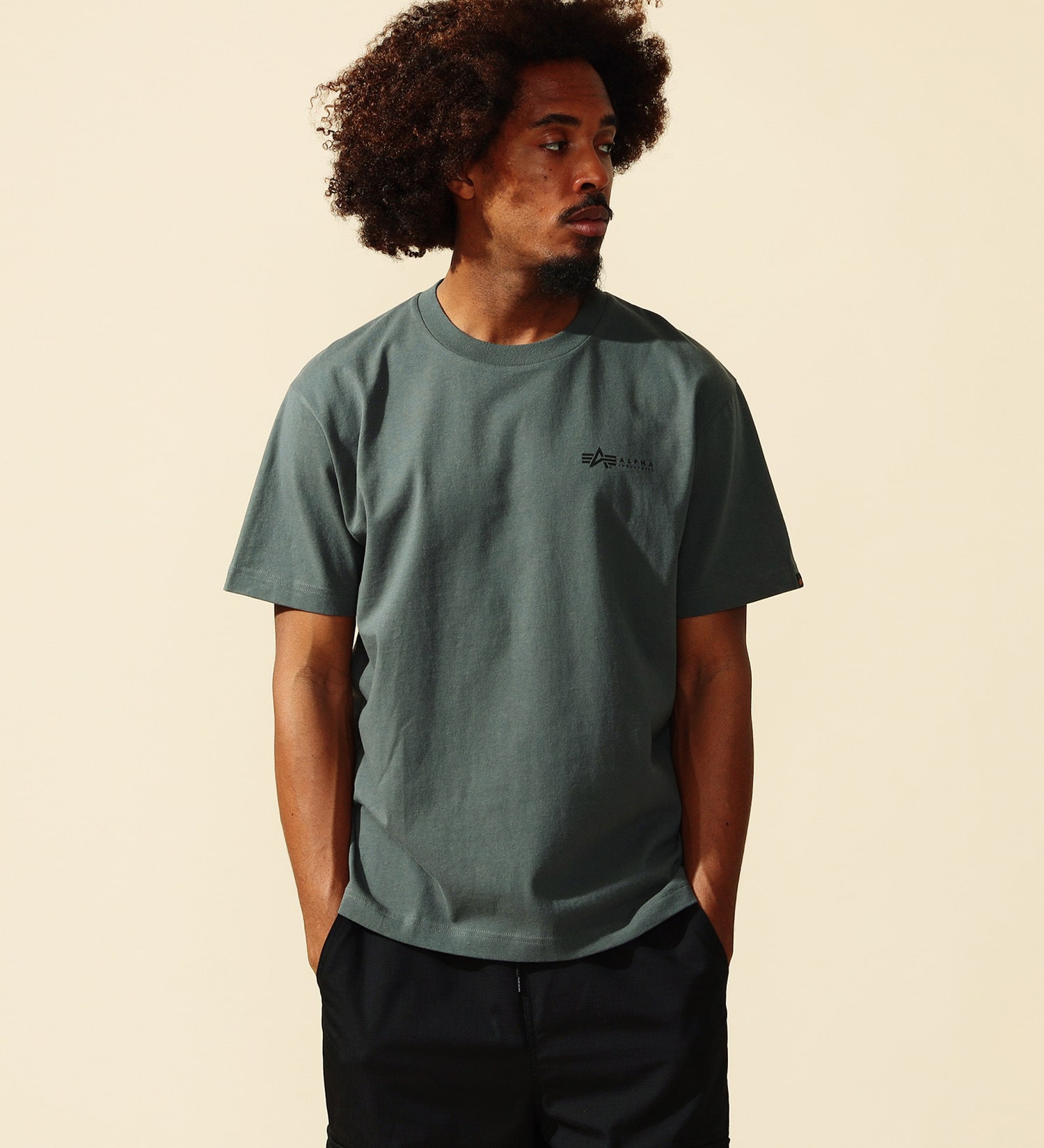 ALPHA(アルファ)のMIL.SPECバックプリントTシャツ 半袖|トップス/Tシャツ/カットソー/メンズ|グレー