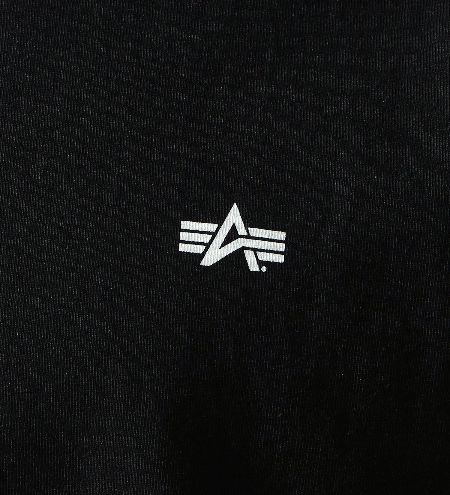 ALPHA(アルファ)の【大きいサイズ】DRESSCODE バックプリントTシャツ 半袖|トップス/Tシャツ/カットソー/メンズ|ブラック
