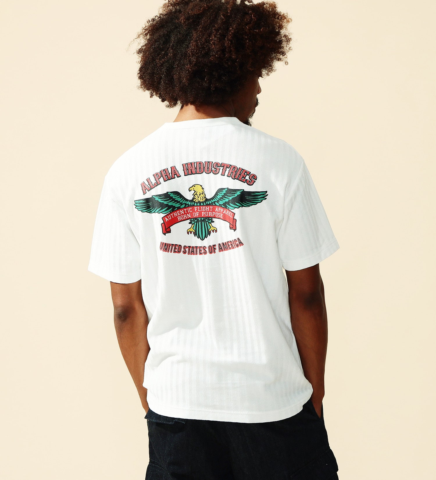 ALPHA(アルファ)のヘリンボーン バックプリントTシャツ 半袖|トップス/Tシャツ/カットソー/メンズ|ホワイト
