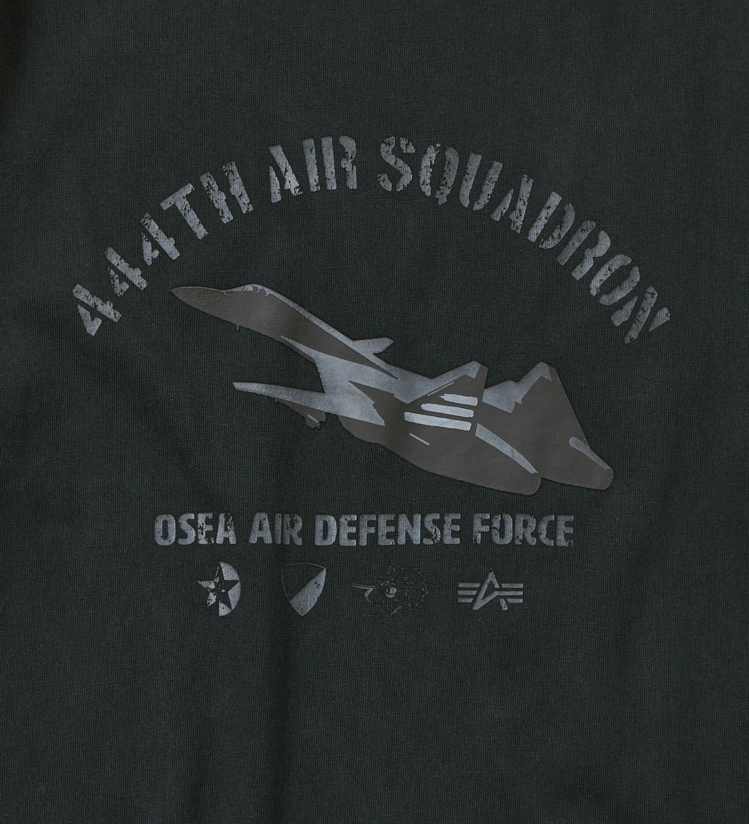 ALPHA(アルファ)の【ALPHAxACE COMBAT】PIGMENT PRINT Tシャツ (ADFX01)|トップス/Tシャツ/カットソー/メンズ|ブラック