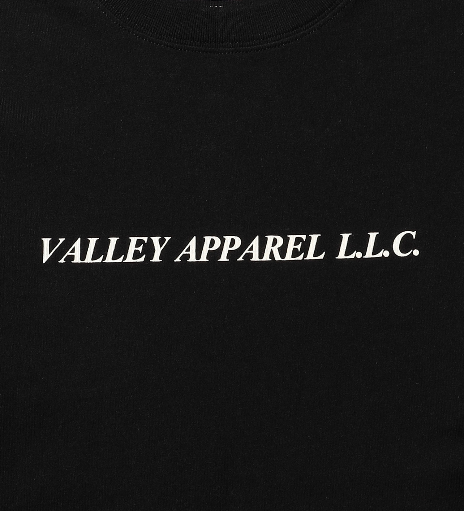 VALLEY APPAREL(バレー アパレル)のバーティカルロゴプリントTシャツ 長袖|トップス/Tシャツ/カットソー/メンズ|ブラック