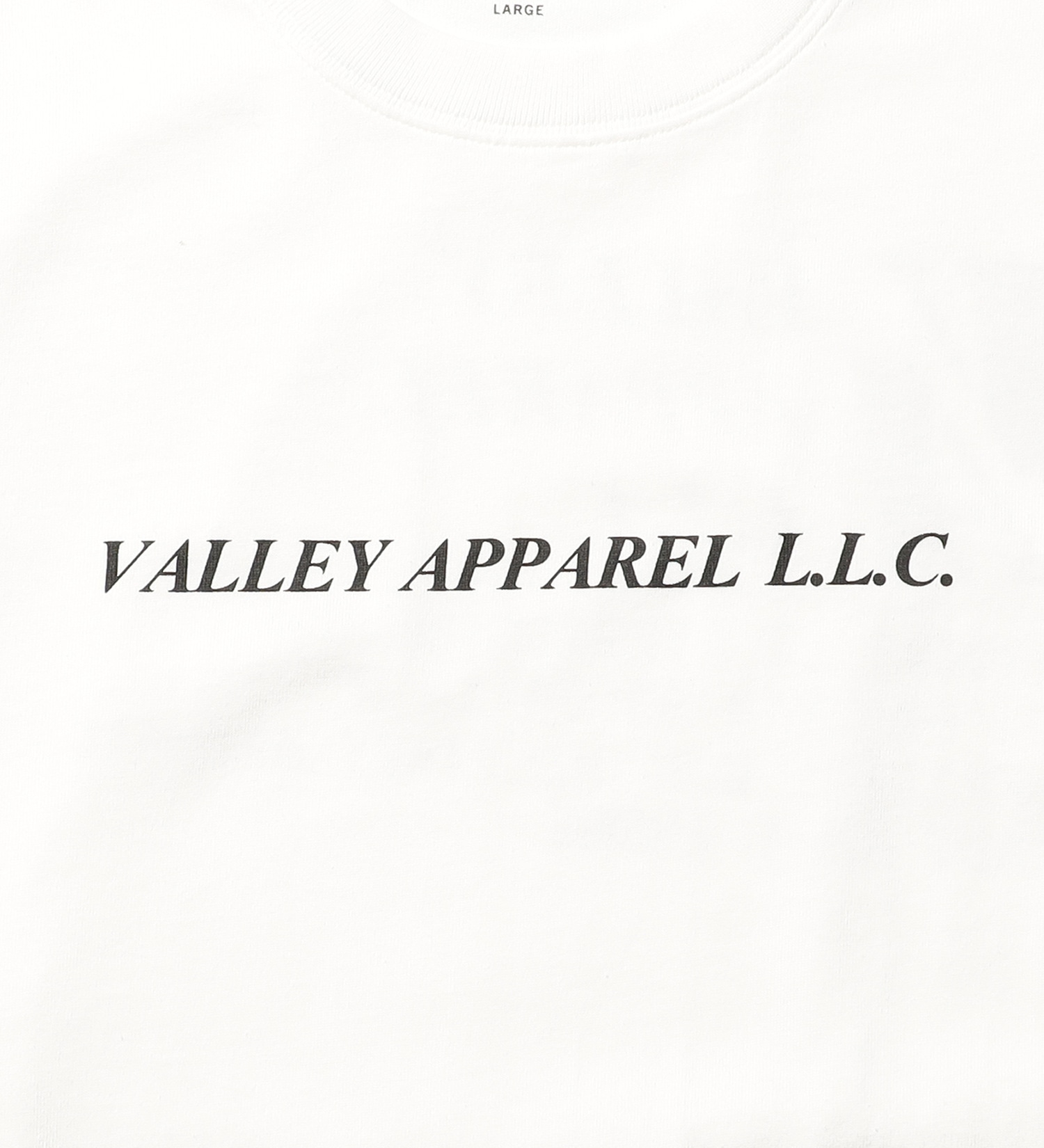 VALLEY APPAREL(バレー アパレル)のバーティカルロゴプリントTシャツ 長袖|トップス/Tシャツ/カットソー/メンズ|ホワイト