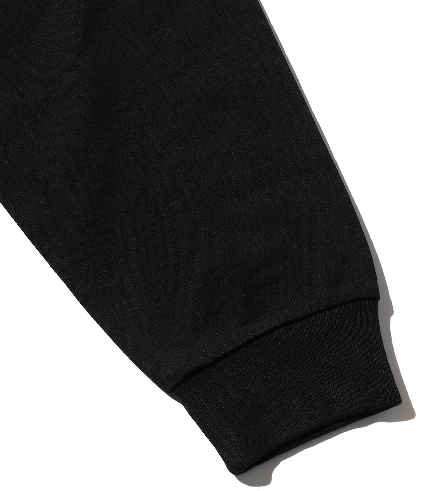 VALLEY APPAREL(バレー アパレル)のウィングマークプリントTシャツ 長袖|トップス/Tシャツ/カットソー/メンズ|ブラック