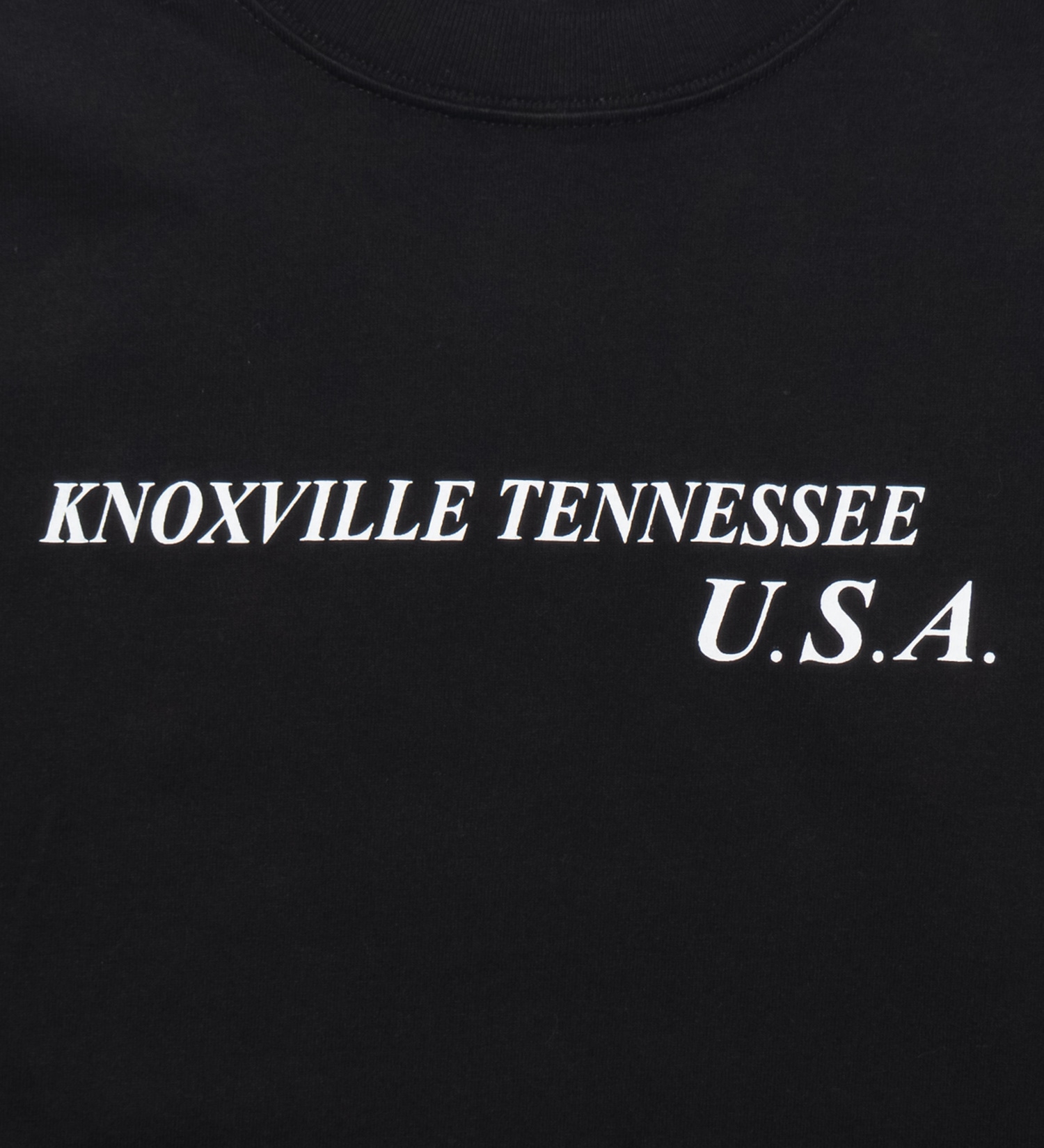 VALLEY APPAREL(バレー アパレル)のヒストリー 長袖Tシャツ|トップス/Tシャツ/カットソー/メンズ|ブラック