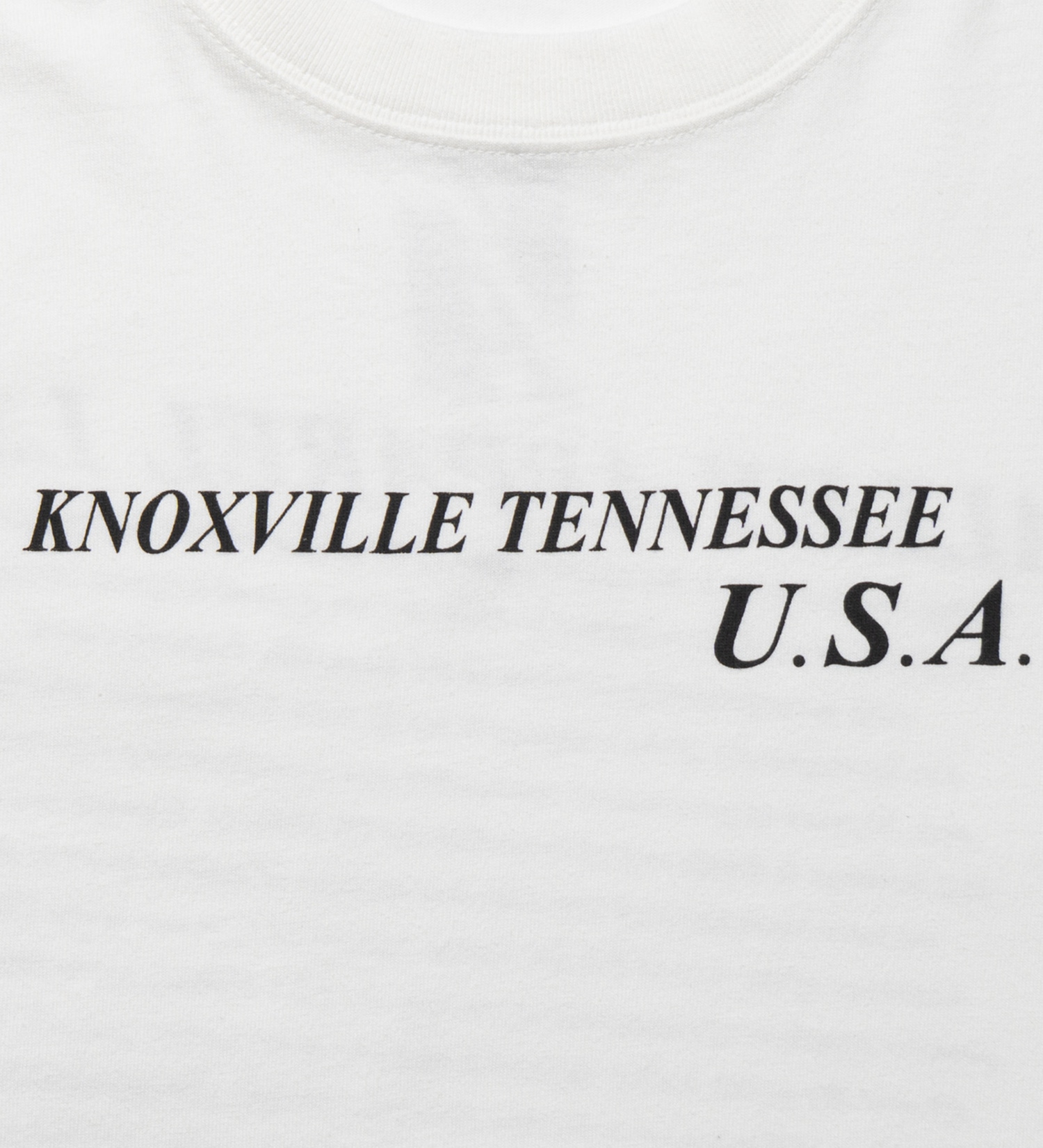 VALLEY APPAREL(バレー アパレル)のヒストリー 長袖Tシャツ|トップス/Tシャツ/カットソー/メンズ|ホワイト
