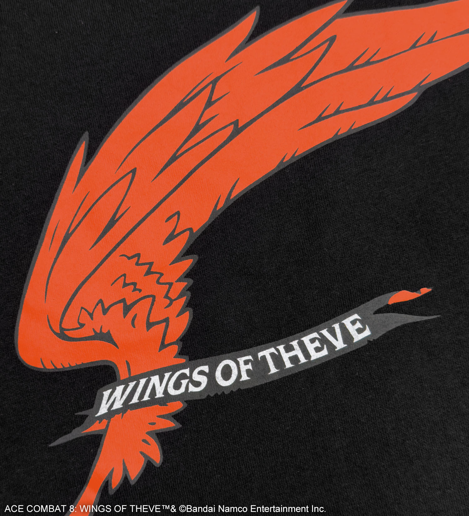 VALLEY APPAREL(バレー アパレル)の【VALLEY APPAREL x ACECOMBAT】Tシャツ|トップス/Tシャツ/カットソー/メンズ|ブラック
